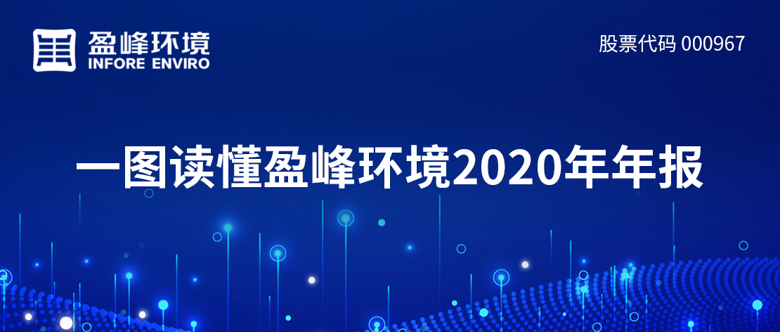 一图读懂BB贝博艾弗森环境2020年年报
